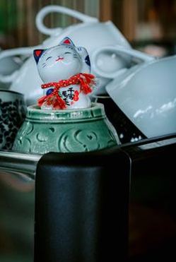 giấy phép Nohu